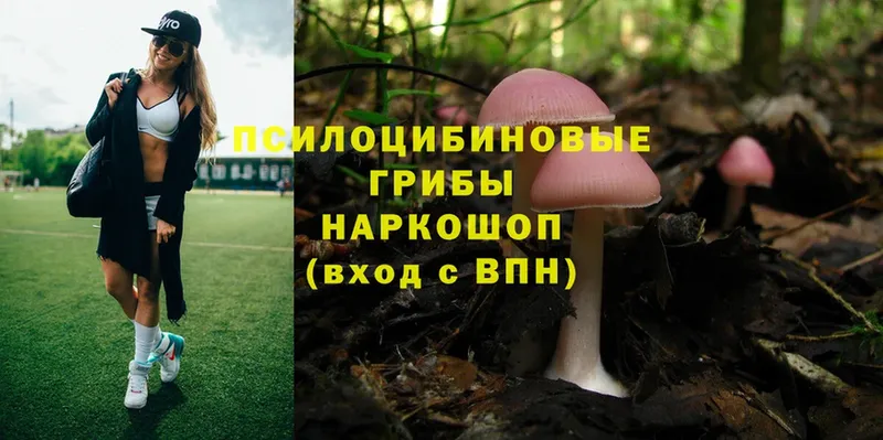 где можно купить наркотик  Ишим  Галлюциногенные грибы Psilocybine cubensis 